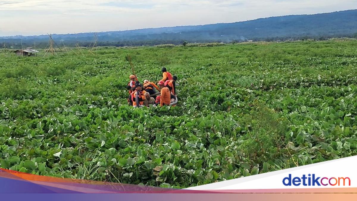 Eceng Rawa Terjebak di Lautan Eceng Gondok Rawa Pening, Kakek Ini Dievakuasi Tim SAR