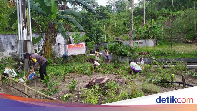 Cerita 'Apotek Hidup' Ipda La Ali Bantu Tingkatkan Kesehatan Warga Kepulauan Aru