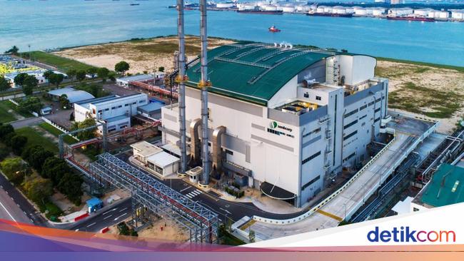 TBS Energi Rugi Rp 1,91 T Gegara Harga Batu Bara Anjlok