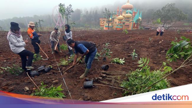 Lahan Bekas Hibisc Fantasy Puncak Bogor Mulai Ditanami Pohon