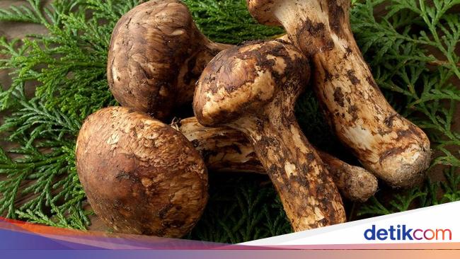 5 Jamur Termahal di Dunia Ini Harganya Capai Ratusan Juta Rupiah!