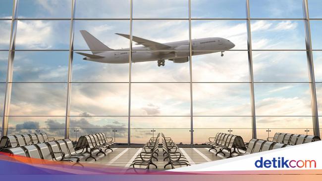 Rute Penerbangan RI Paling Sibuk dan Ramai, Domestik Internasional