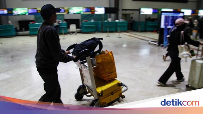 Hendak Selundupkan Benih Lobster Via Bandara Soetta, 7 Orang Ditangkap