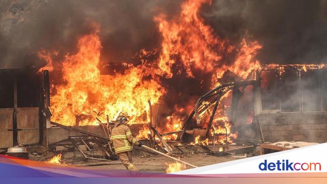 5 Fakta Kebakaran Hutan di Korsel hingga Jatuh Korban Jiwa