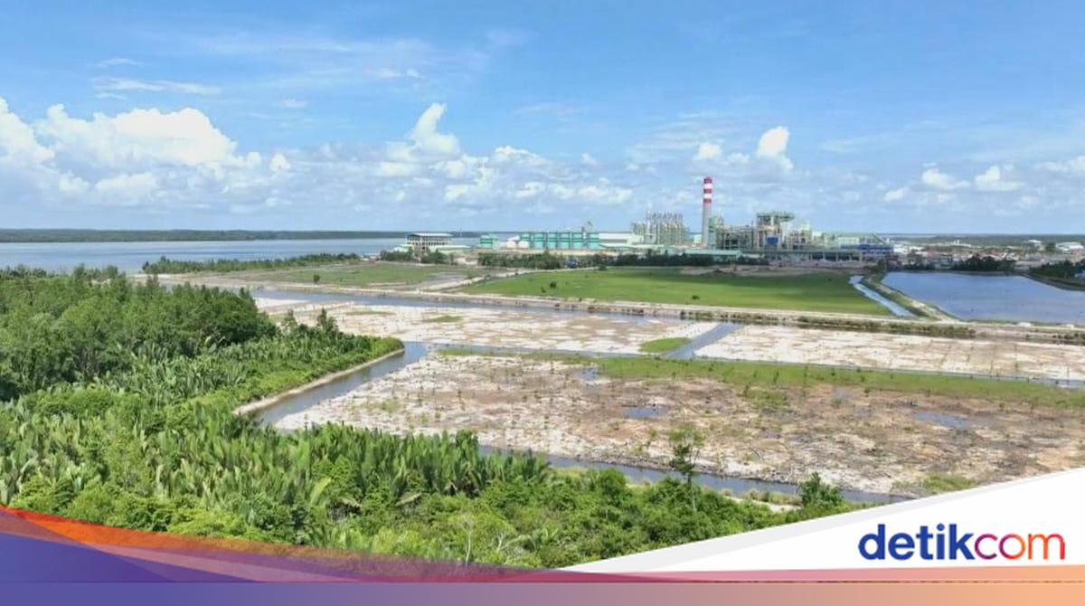 PT PRI Segera Tindaklanjuti Arahan DLH Tarakan Terkait Pencemaran Limbah