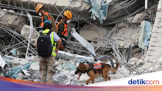 Tim Anjing Pelacak Polri Berhasil Temukan Korban Gempa Myanmar