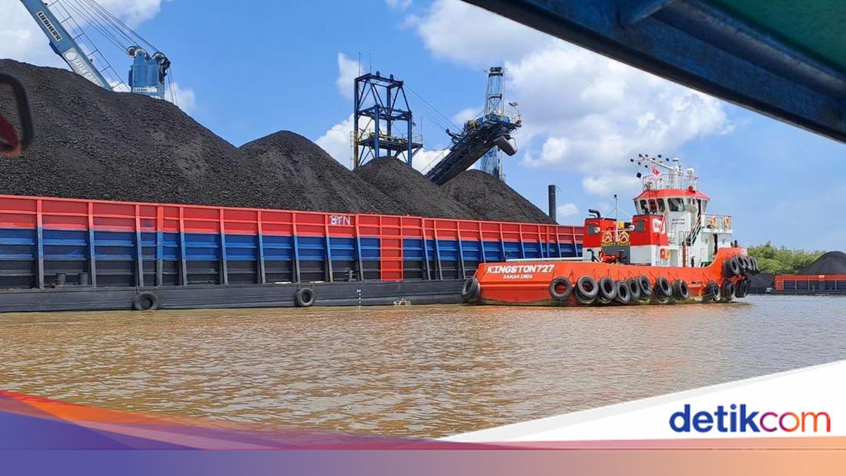 JP Morgan Nilai Indonesia Negara Tahan Banting Karena Batu Bara, Peringkat Kedua Dunia