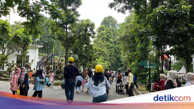 Viral Wanita Sebut Kena Pungli Gelar Acara di Kebun Raya Bogor, Pengelola Tepis