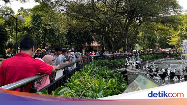 Warga Tangerang Ajak Anak ke Ragunan: Selama Ini Lihat Hewan Cuma dari ...