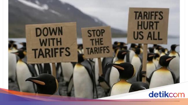 Meme Kocak Pulau Penguin Kena Tarif Trump