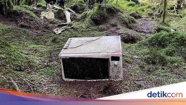 Nasib Hutan Hafren: Viral Dulu, Rusak Kemudian, Warlok pun Geram