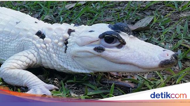 Deretan Foto Ungkap Sisi yang Tak Terlihat di Dunia Ini