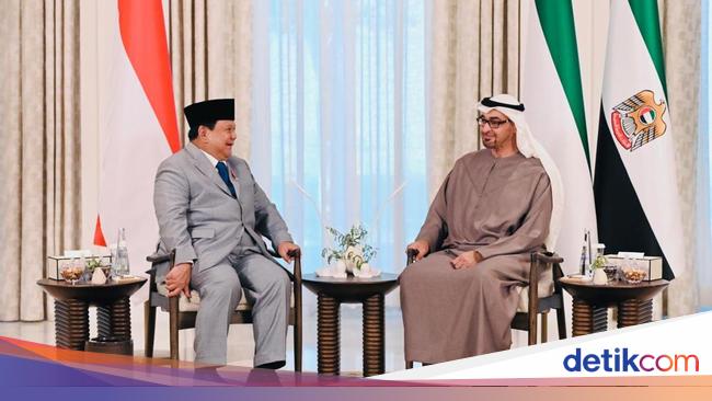 Pertemuan Prabowo-Presiden MBZ di Abu Dhabi Hasilkan 8 Kerja Sama, Apa Saja?
