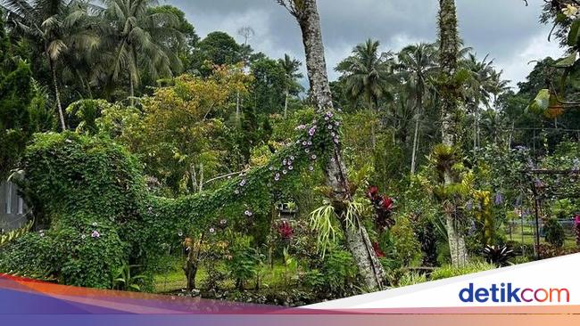 Ghiffari Valley: Daya Tarik dan Harga Tiket Masuk di 2025