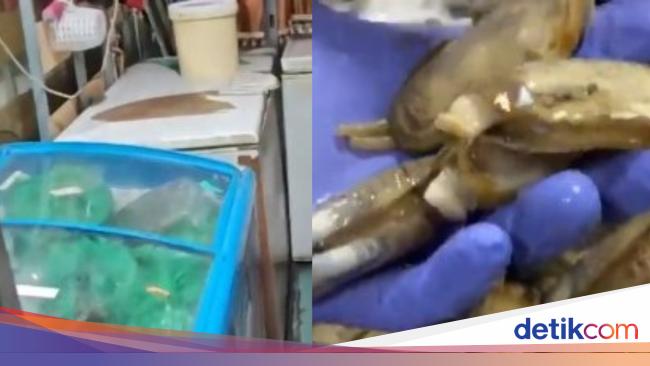 Kacau! Restoran Ini Ditutup Karena Simpan 300 Kg Daging Busuk