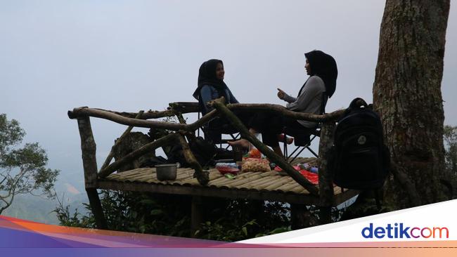 Memetik dan Menyeduh Kopi Langsung dari Kebunnya di Pegunungan Muria