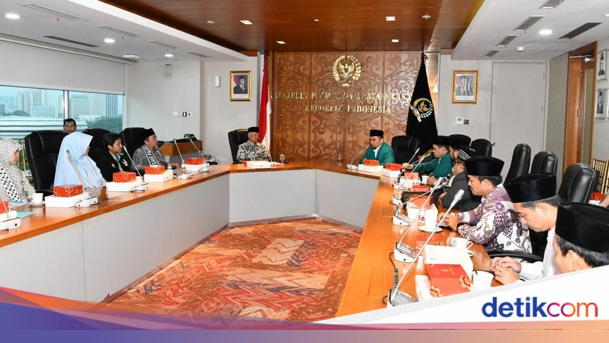 HNW Dorong MPDI Sinergi dengan NGO Pro Palestina, Ini Tujuannya