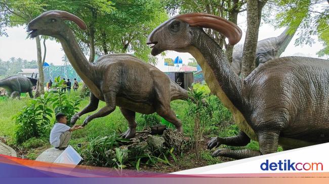 Menjelajahi Kapal Hantu dan Hutan Dinosaurus di Lampung