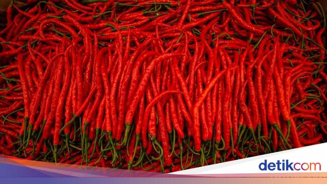 Kemenhub Klaim Berhasil Turunkan Harga Pangan ke Wilayah Timur, Ini Datanya