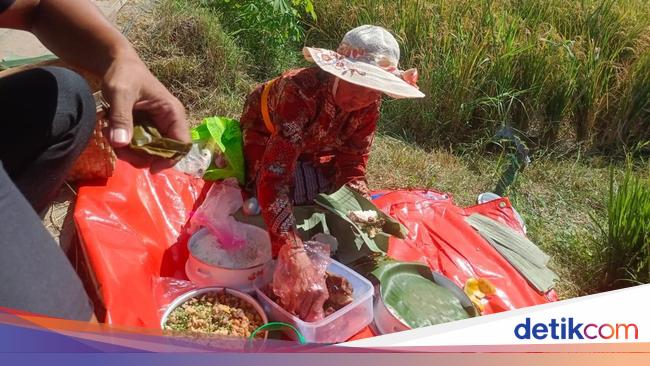 Mengenal Nasi Wiwit, Simbol Tani yang Lestari di Klaten
