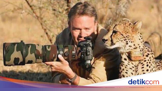 Momen Langka Hewan Ganggu Aksi Fotografer Satwa Liar Bikin Ketawa