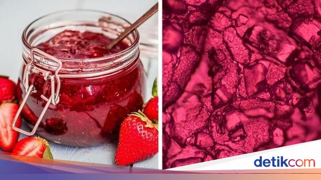 Mengejutkan! Begini Penampakan Benda Sehari-hari Dilihat Pakai Mikroskop