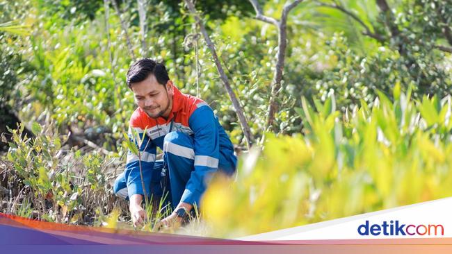 Hari Hutan Sedunia, Pertamina Perkuat Program Hutan Lestari untuk NZE 2060
