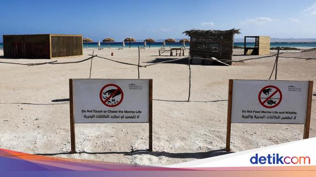 Potret Pantai Laut Merah yang Asri Terancam Proyek Pariwisata Mesir