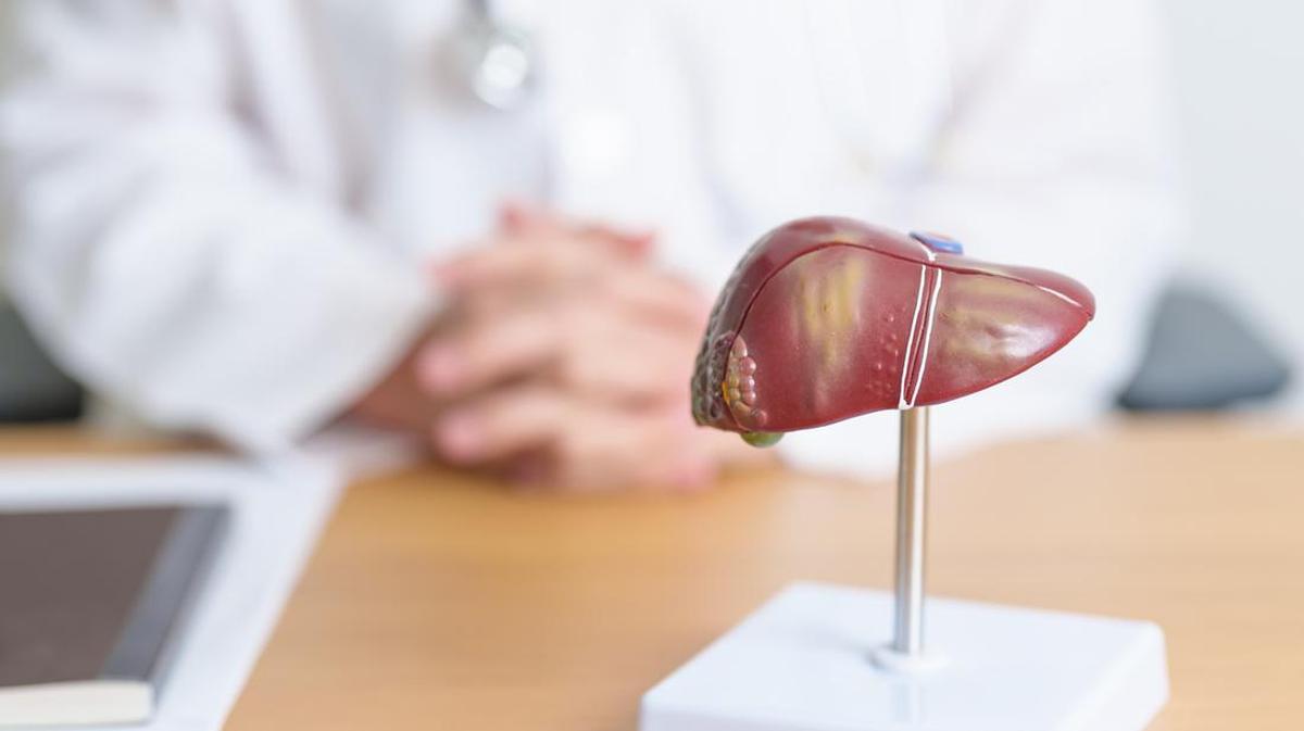 Waspadai Fatty Liver, Periksa &amp; Tangani dengan Tepat di Mayapada Hospital