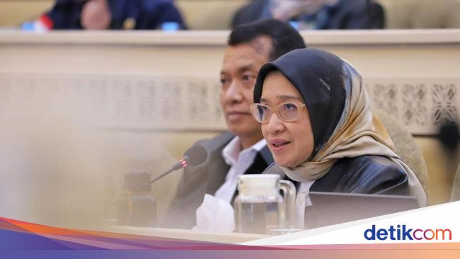 Raker dengan DPR RI, KemenPAN-RB Paparkan Progres Pemindahan ASN ke IKN