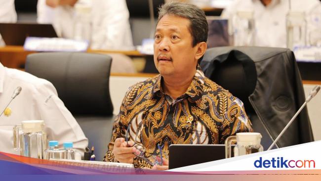 Konservasi Laut RI Butuh Duit Rp 3,2 Triliun/Tahun