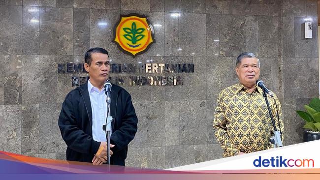 Malaysia Minta Impor Beras dari RI, Pemerintah Bilang Begini