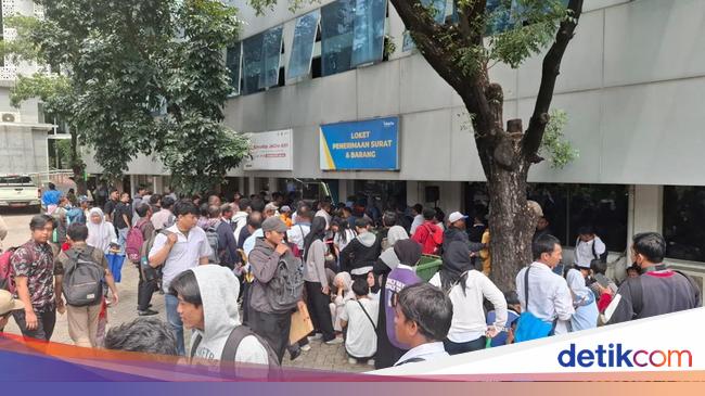 Ramai-ramai Mengadu Nasib Jadi Pasukan Oranye Jakarta