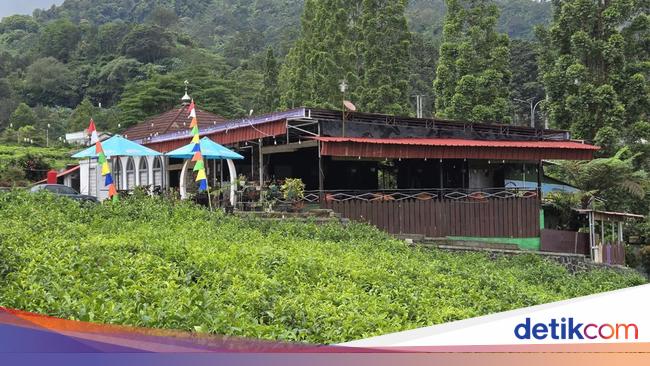 Rajin Gaet Mitra, BUMDes di Puncak Bikin Kafe sampai Ternak Sapi