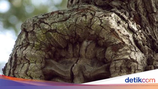 Potret Unik Fenomena Alam yang Bikin Mata Terpukau