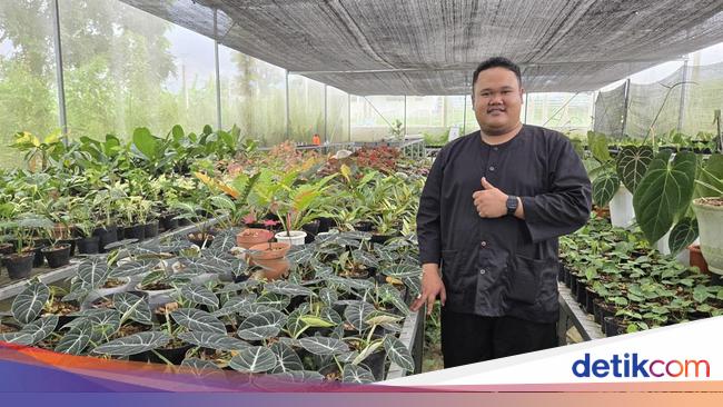 Ekspor Tanaman Hias, Desa di Bogor Sumbang Devisa Negara