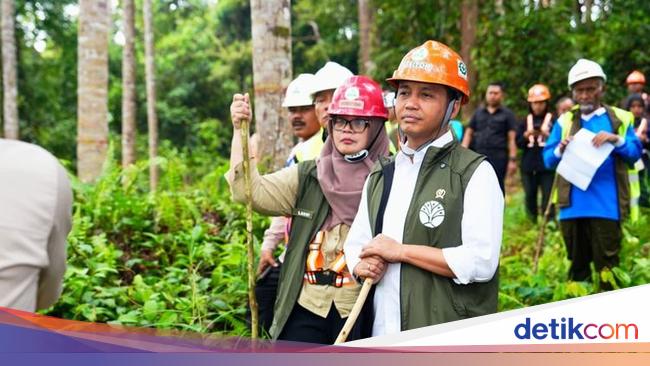 Jalankan Arahan Gibran, Menhut Lepas Status Hutan 152 Ha ke Warga di Banyuwangi