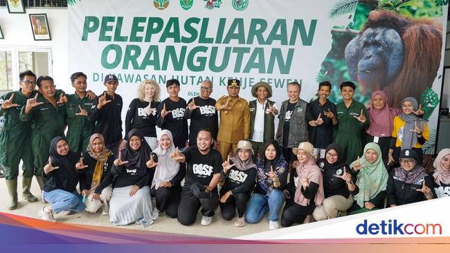 6 Orang Utan Dilepasliarkan di Hutan Kehje Sewen Kaltim