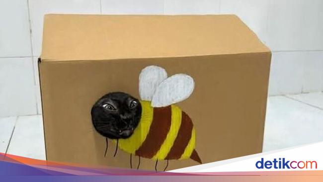Kumpulan Foto Tingkah Lucu Hewan Bikin Senyum-senyum