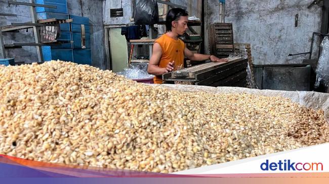 Petani AS Merana Imbas Ekspor Kedelai Terganggu Aturan Trump