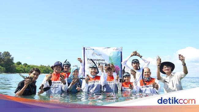Jaga Kelestarian Laut, PIS Tanam 3.000 Bibit Lamun di Teluk Bakau Bintan