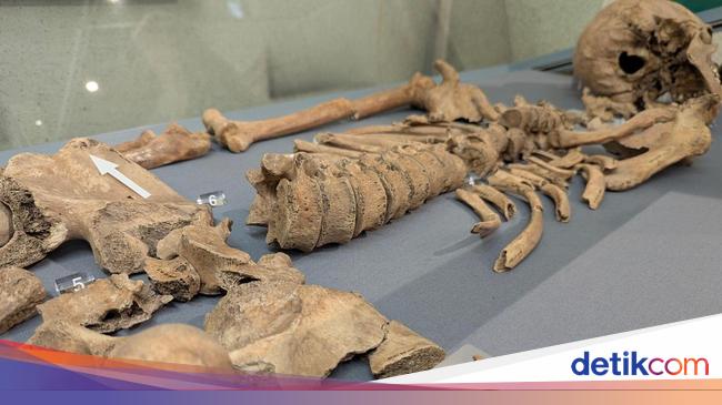 Bekas Gigitan di Kerangka Gladiator Buktikan Pertarungan dengan Singa