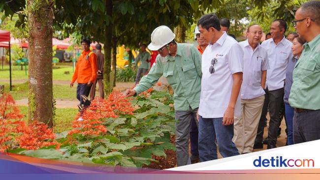 Jaga Kelestarian, Vale Indonesia Sudah Reklamasi 3.791 Ha Lahan Tambang