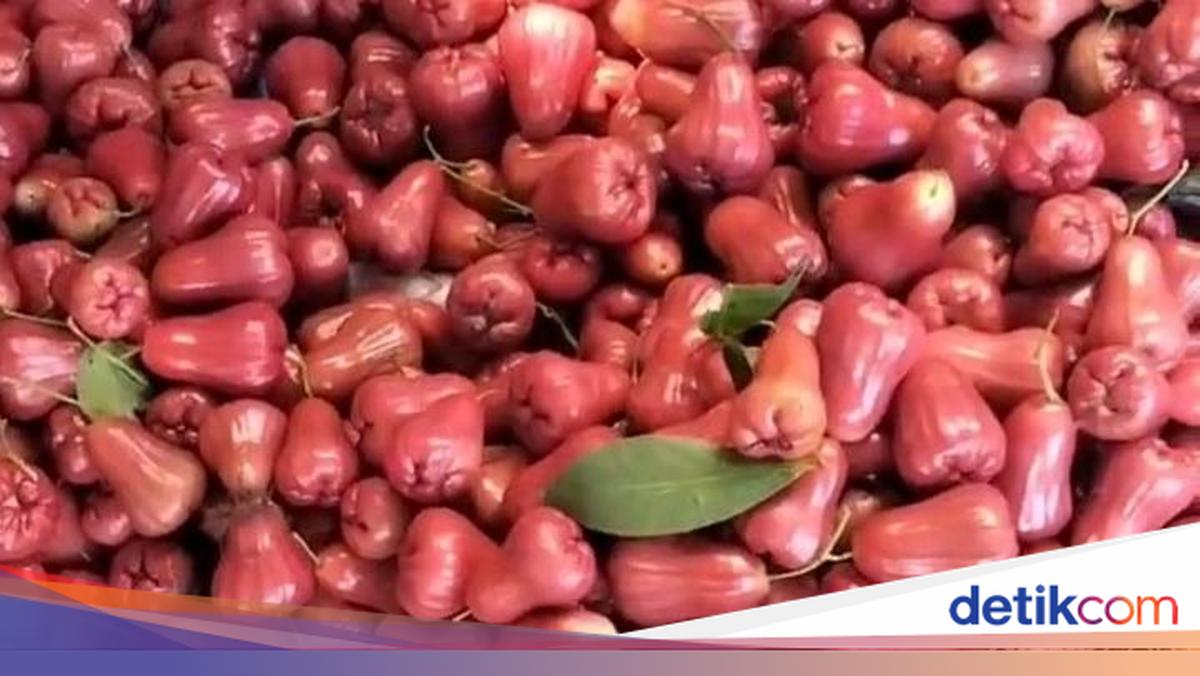 Kisah Hery Pemuda Pati Sukses Bertani, Sehari Jual 5 Kuintal Jambu Citra