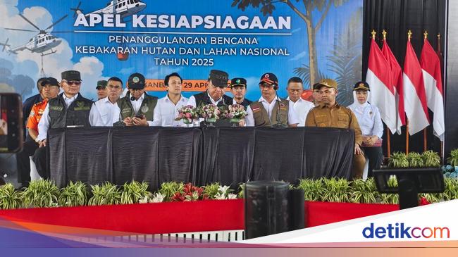 BNPB Sebut 6 Provinsi Jadi Prioritas Penanganan Karhutla, Riau Darurat