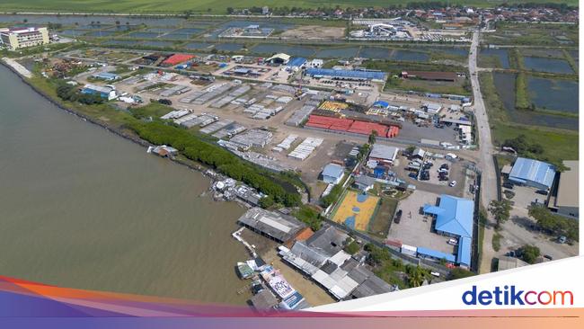 Pengusaha Ungkap Peluang Investasi di Kawasan Pelabuhan Patimban