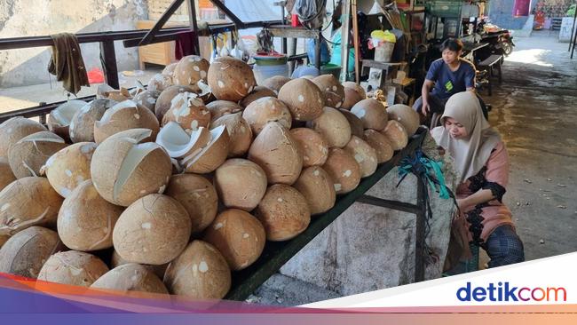 Ekspor Kelapa Mau Diatur biar Harganya Tak Mahal, Ini Bocorannya