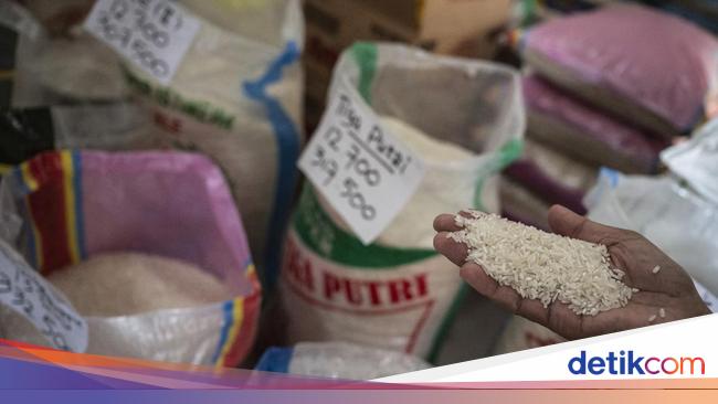 Satgas Pangan Usut Dugaan Manipulasi Data Beras, Pelaku Terancam Hukuman Ini