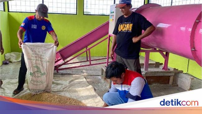 Program Desa Energi Berdikari Pertamina Dorong Produksi Pangan Desa