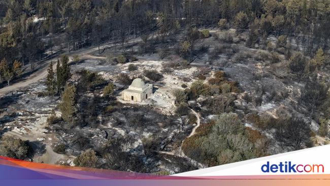 Kebakaran Hutan Hanguskan Wilayah Israel